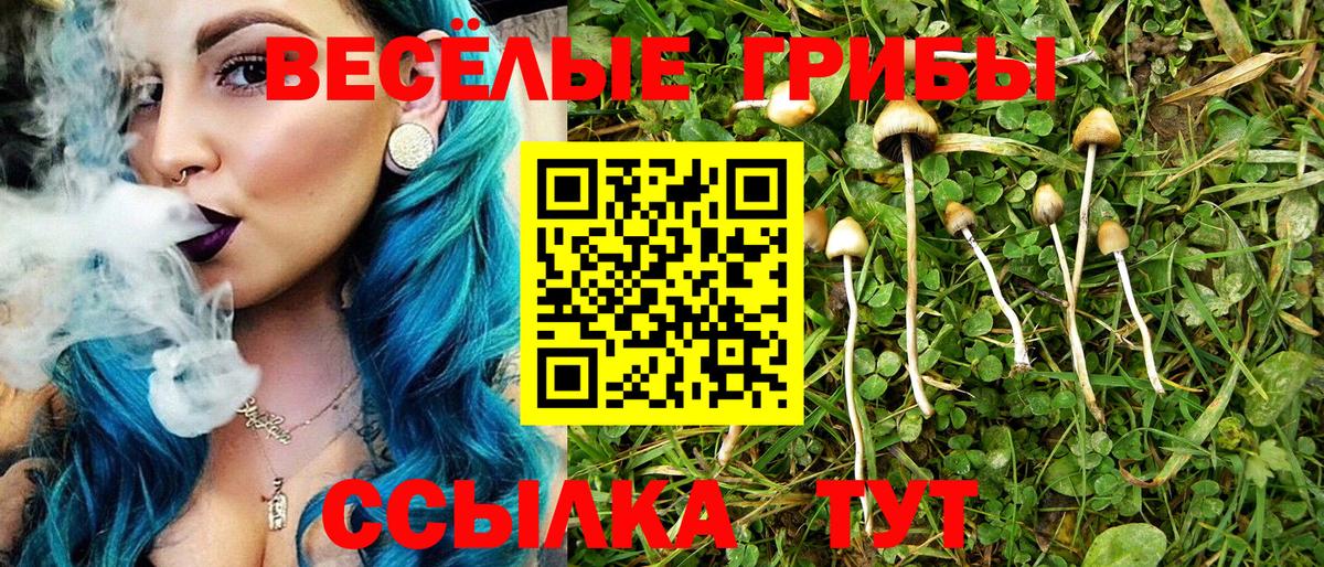 Галлюциногенные грибы MAGIC MUSHROOMS  где можно купить наркотик  Обнинск  Вход с VPN 