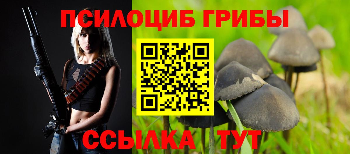 Галлюциногенные грибы Psilocybine cubensis Обнинск