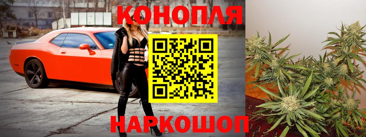 Бошки Шишки тримм  Марихуана планчик  Обнинск  Вход с VPN 